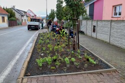 Osazování záhonů v Příhonské ulici – říjen 2025