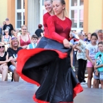 IMG_7256