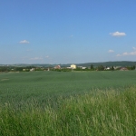 1306973174_bousov179