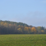 DSC_0985