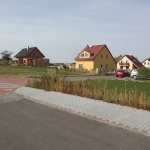 DSCF4159