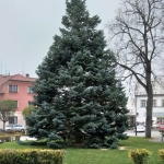 20211112_092721