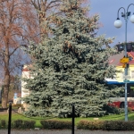 IMG_6848