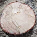 20191118_083621