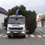20191118_090036