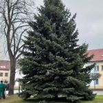 20191118_100100